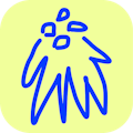 Idea Morph