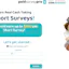 Get Cash After Taking Surveys