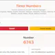Timor Numbers
