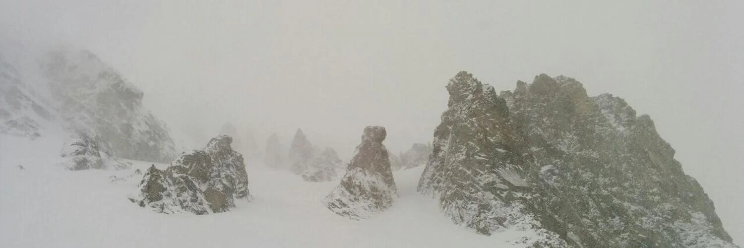 Jake Dexheimer cover