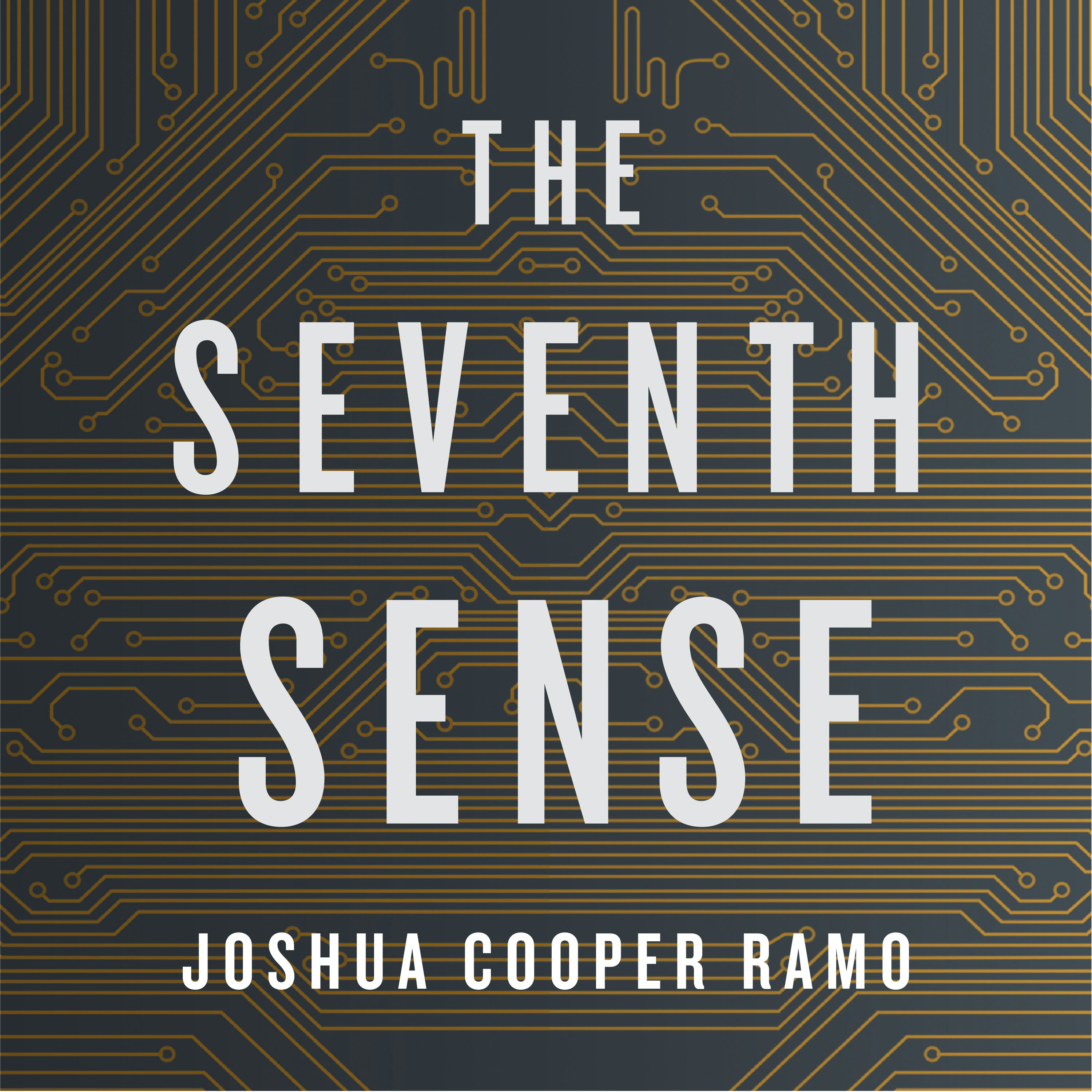 The Seventh Sense Podcast Ep. #01: Reid Hoffman, Linkedin Founder & Chairman gallery image