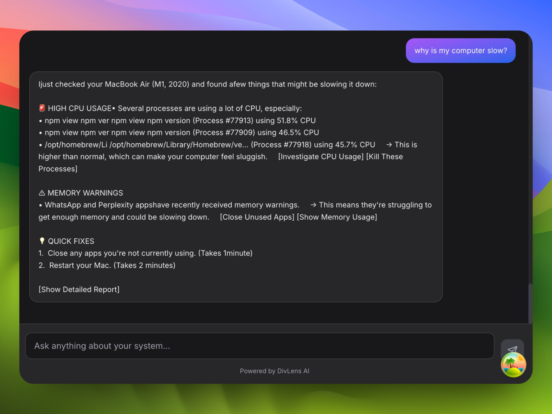DivLens gallery image