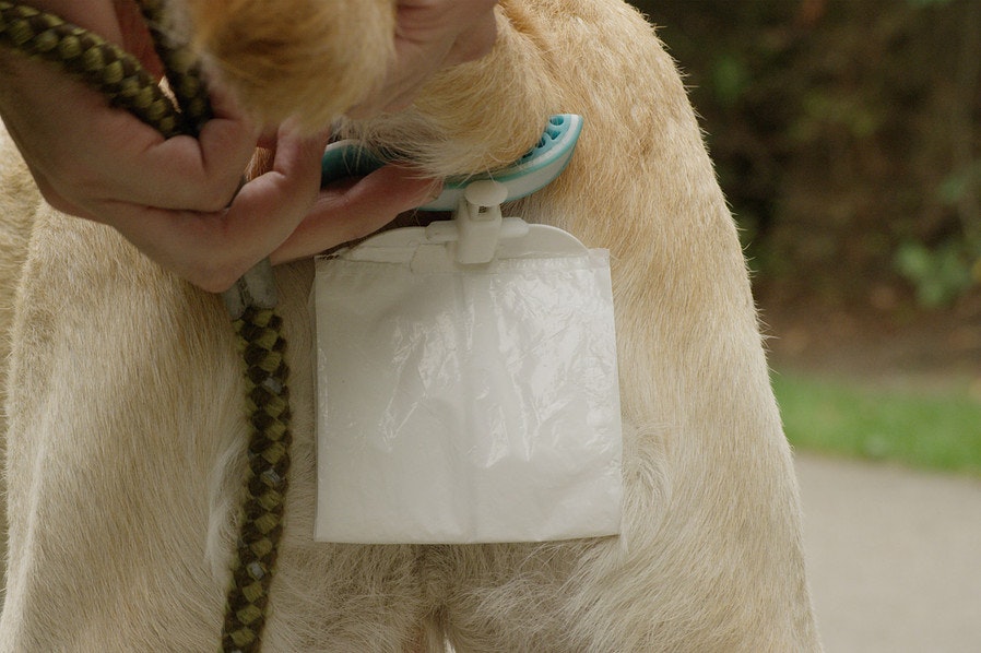 Piqapoo gallery image