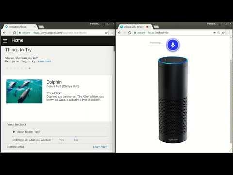 Does It Fly? (Chidiya Udd) gallery image