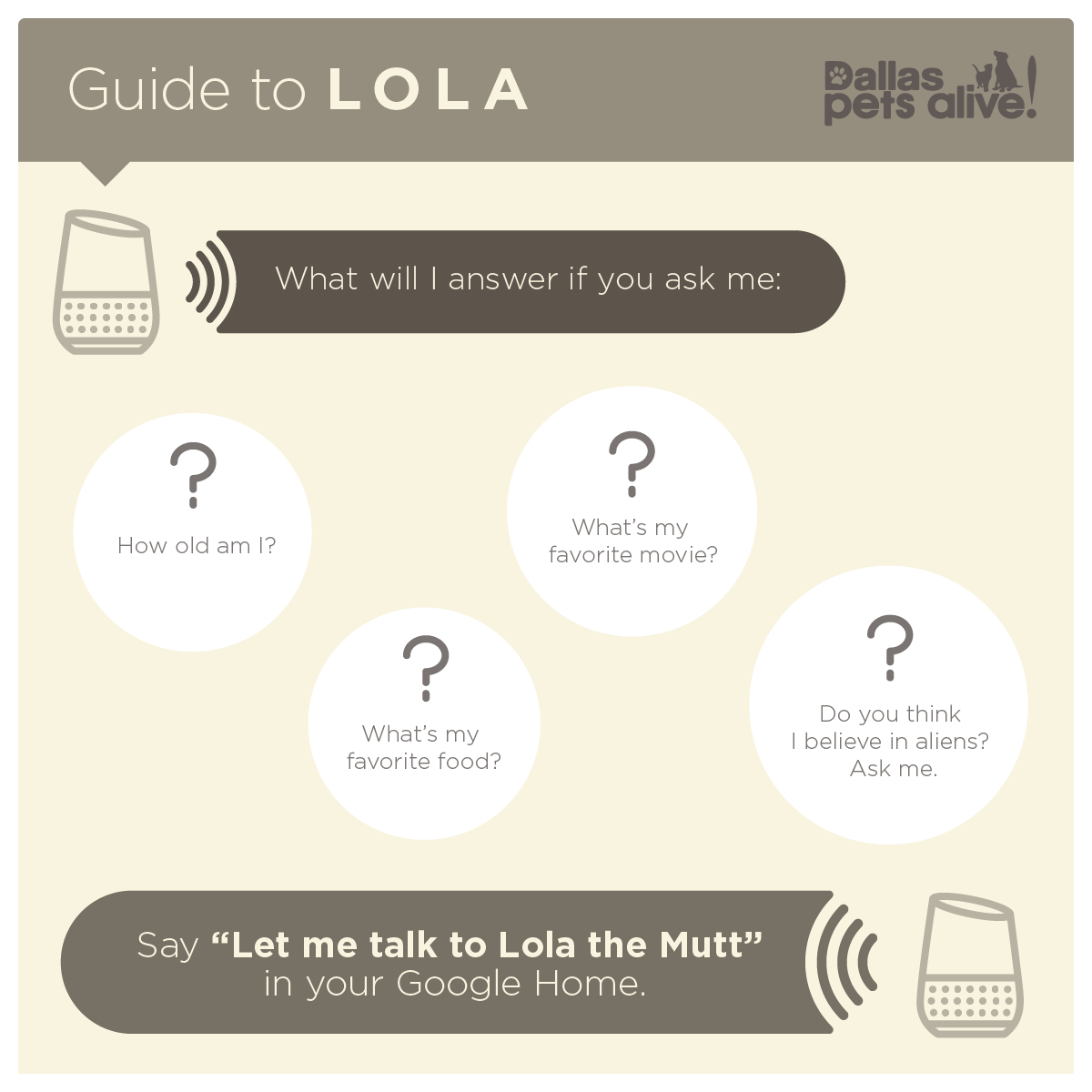 Lola The Mutt gallery image