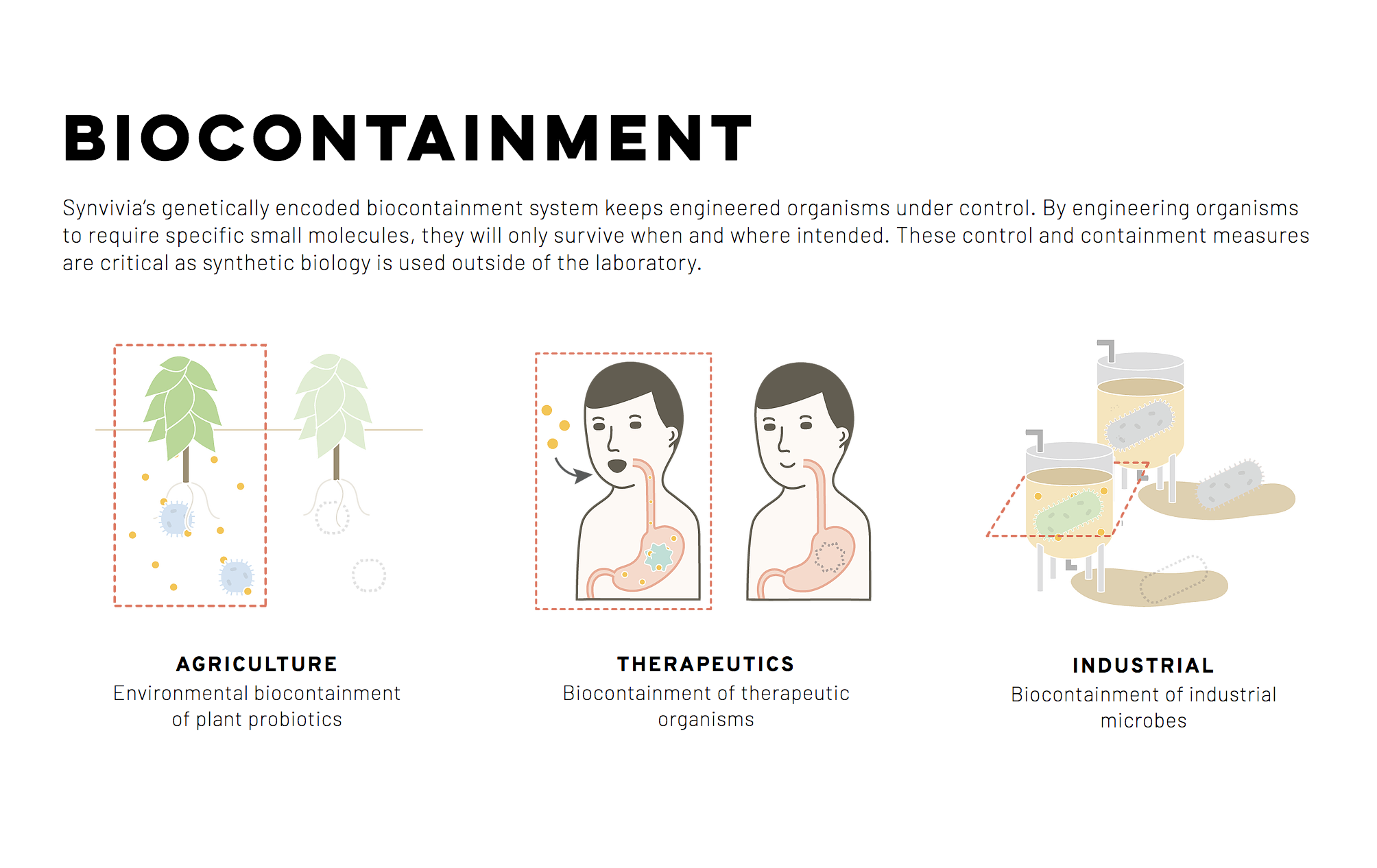 Synvivia gallery image