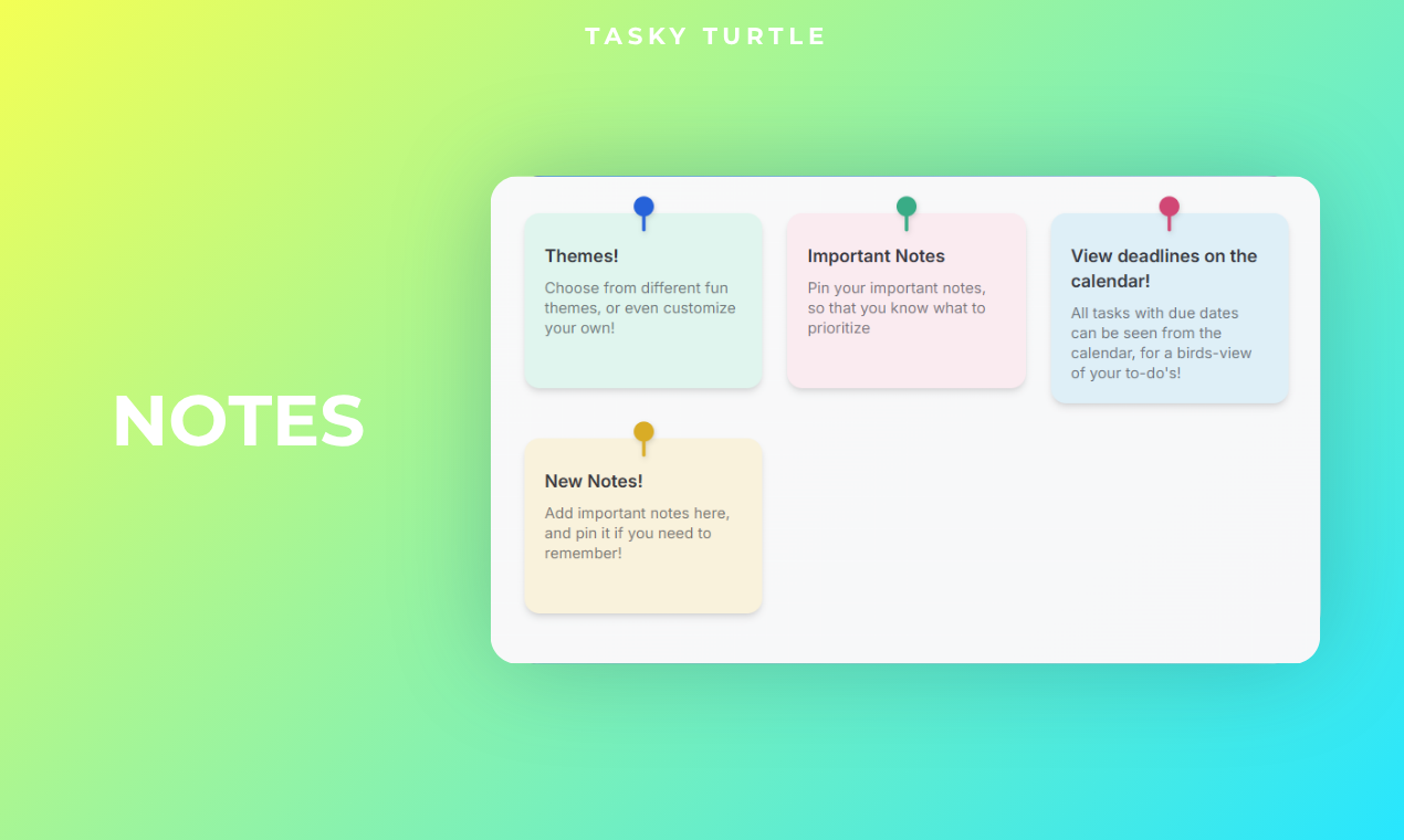 Tasky Turtle gallery image