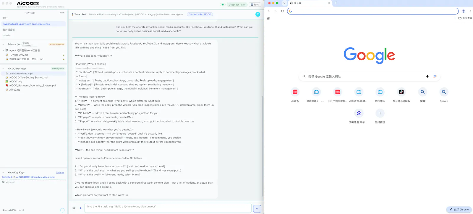 AiCOO screenshot 4