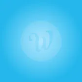 WiseIntro