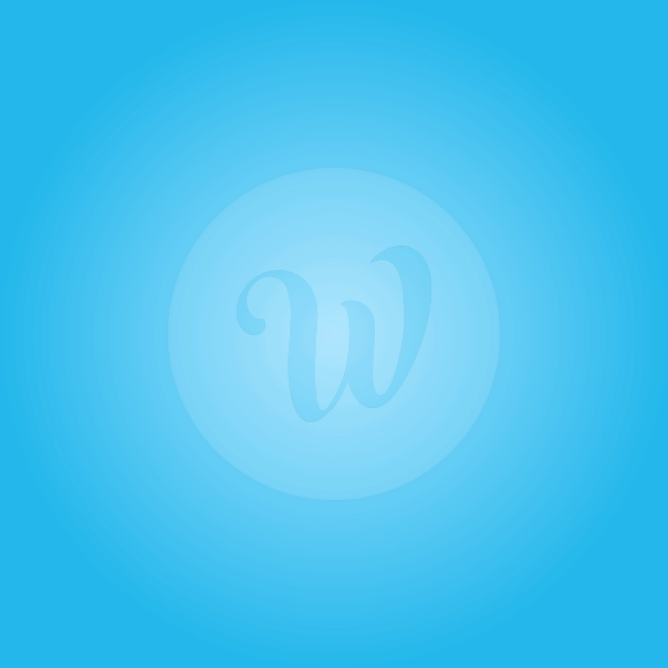 WiseIntro Image