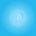 WiseIntro