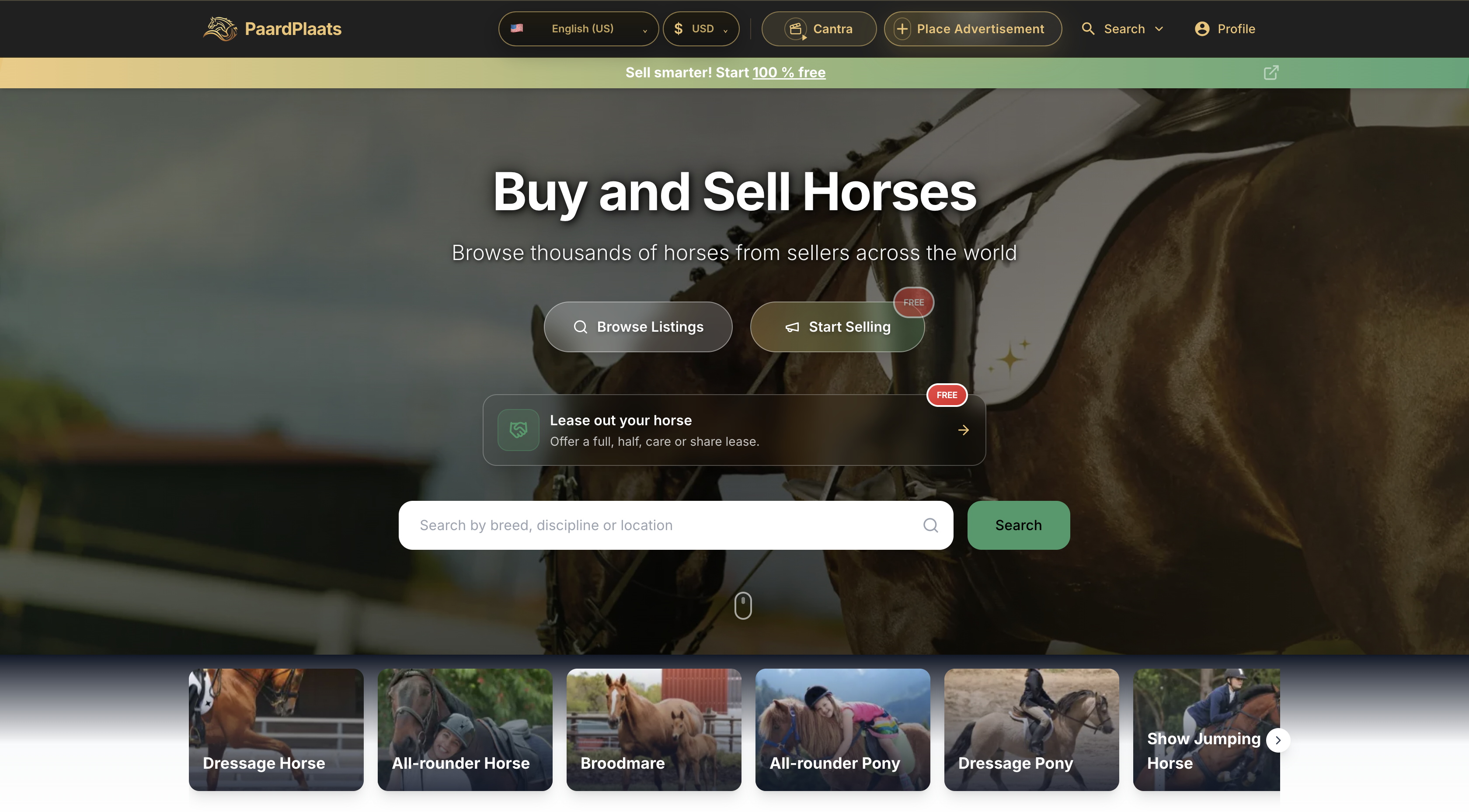 Modern Marketplace for Horses and Ponies