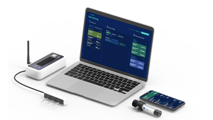 Aroya.io gallery image