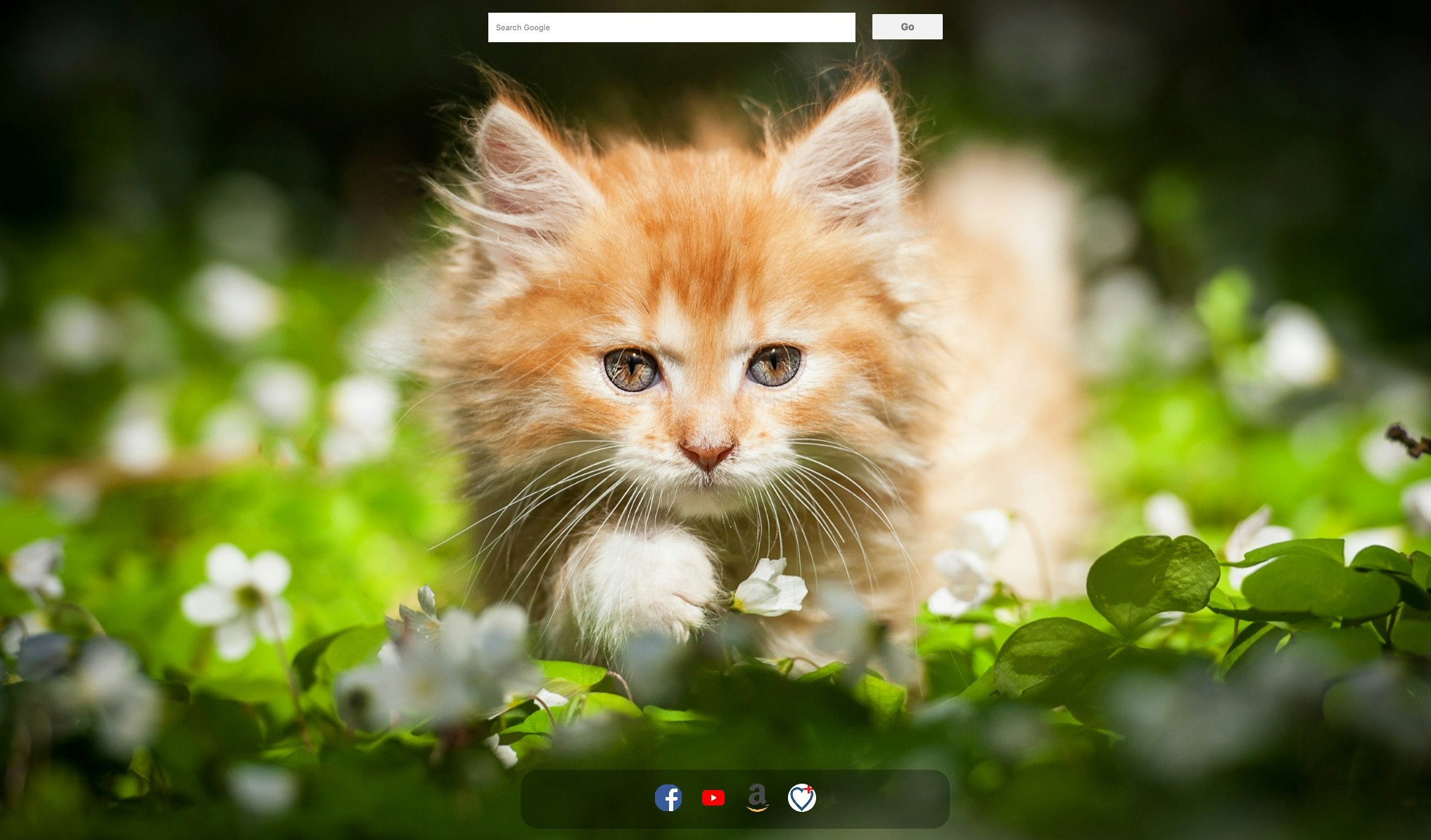 Cute Kitties New Tab Chrome Extension gallery image
