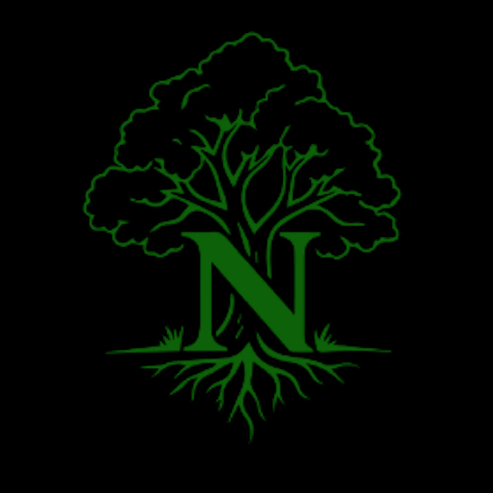 Natyv screenshot 1