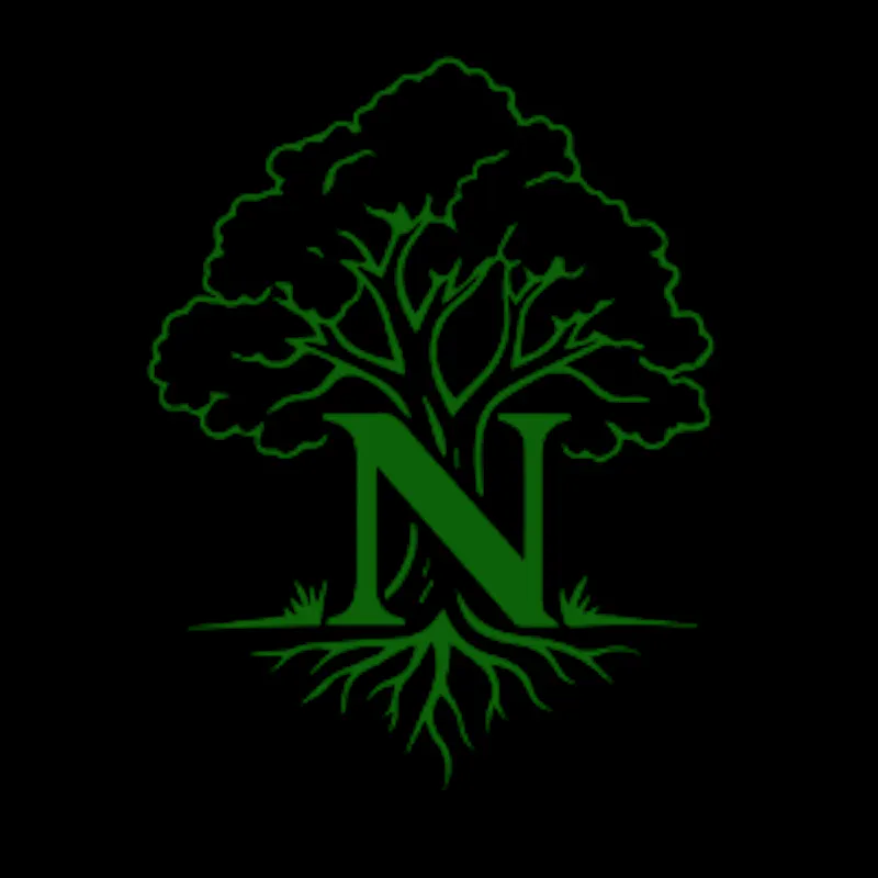 Natyv screenshot 1