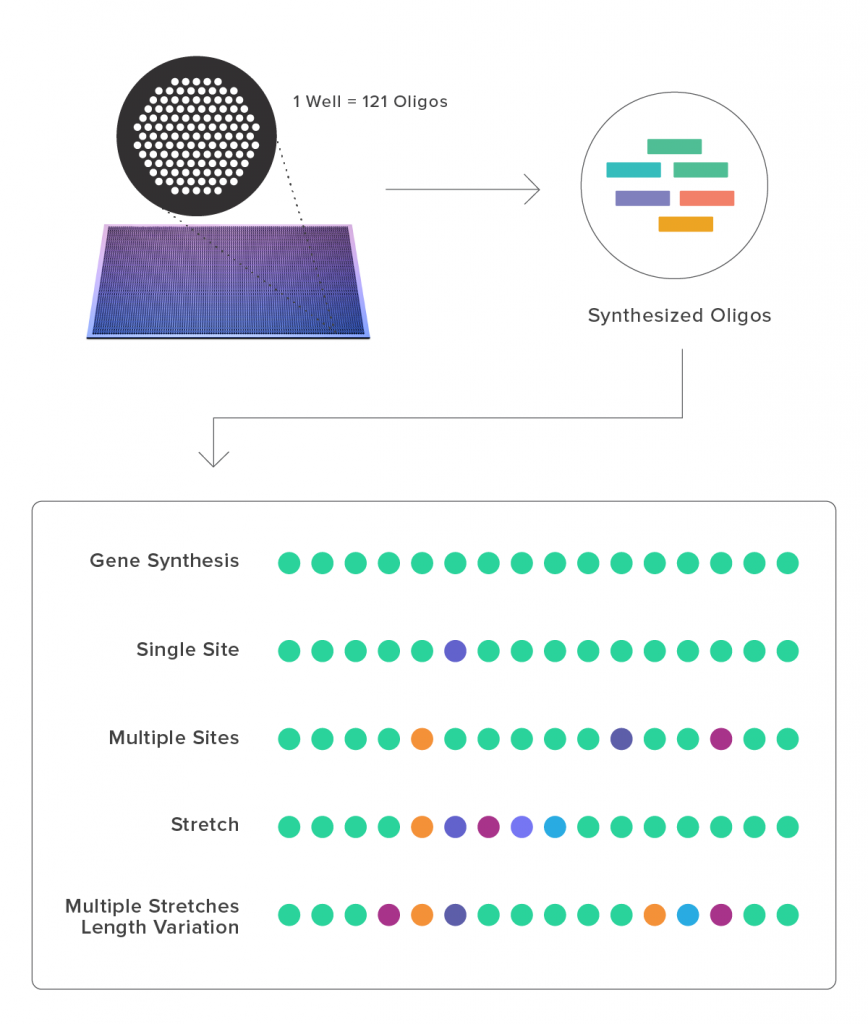 Twist Bioscience gallery image