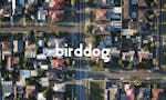 Birddog image