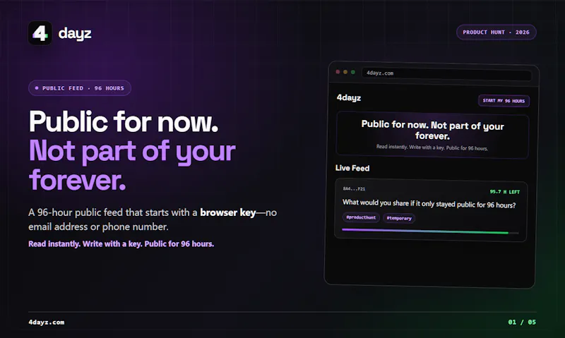 4dayz screenshot 1