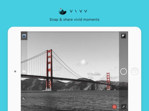 Vivv gallery image