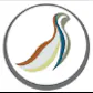 SocialQuail