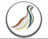 SocialQuail