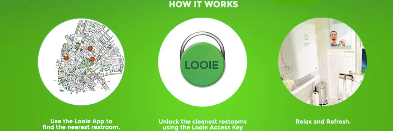 Looie