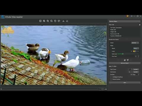 HiTooler Video Inpainter gallery image