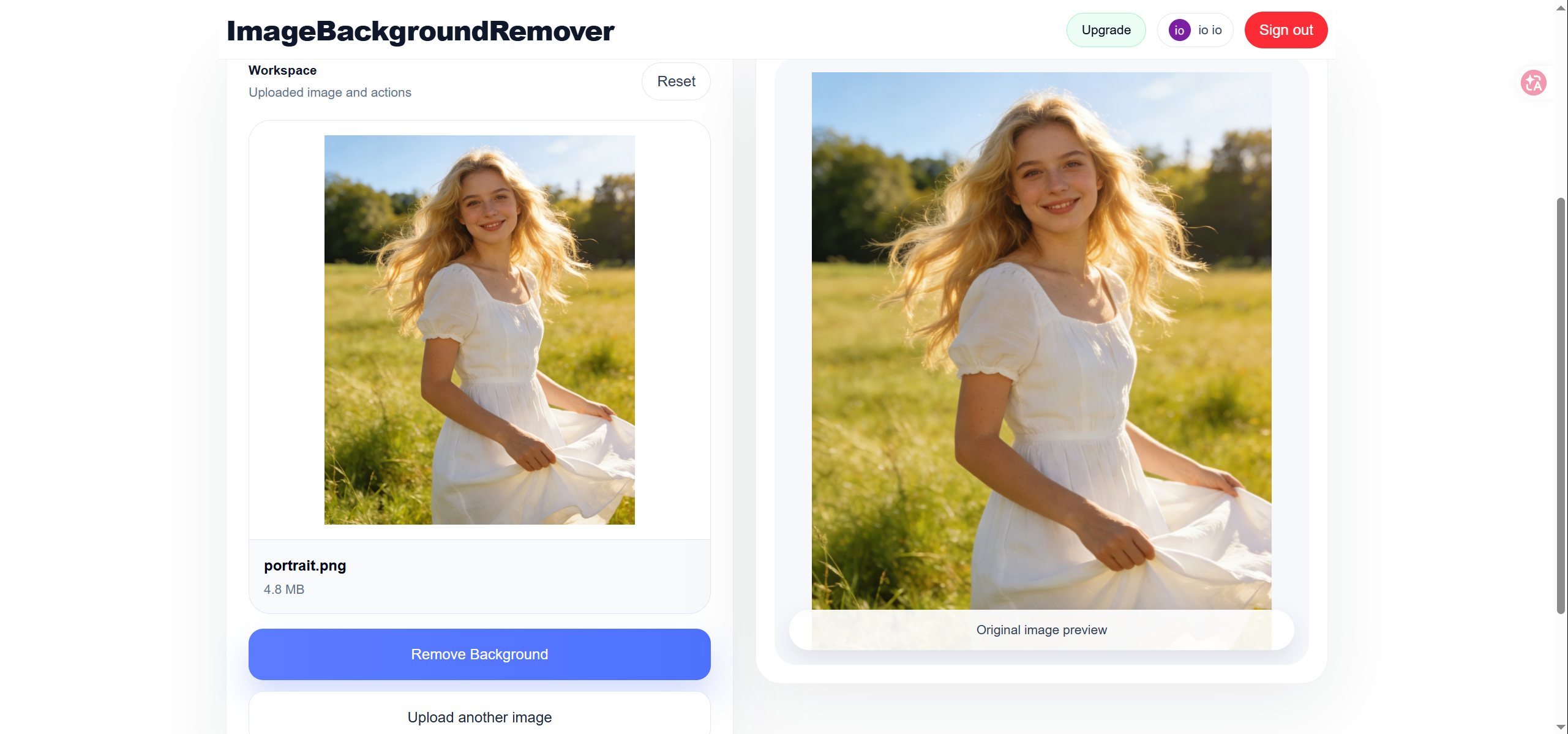 Image Background Remover gallery image