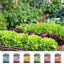 Tertill Garden Program gallery image