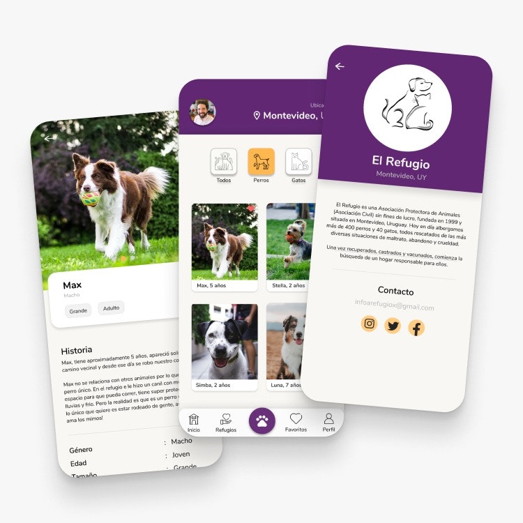 KatDog gallery image