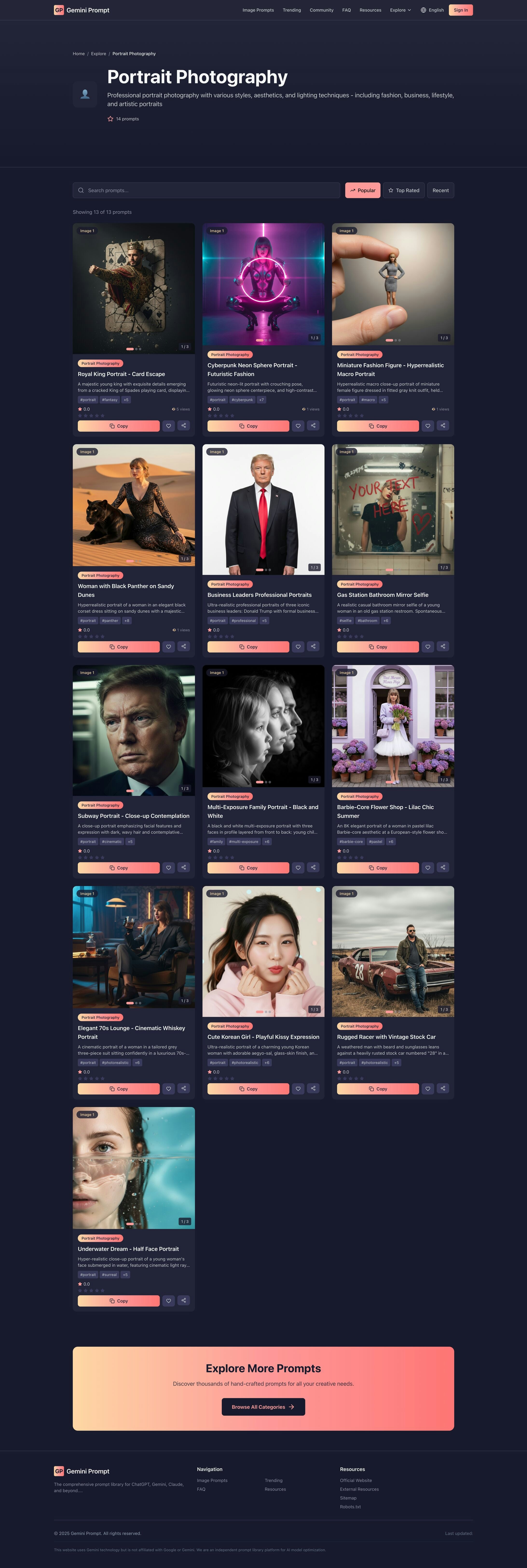 Gemini Prompt - Screenshot 3 preview