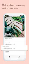 Potted gallery image