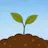 Cultivate: Relationships