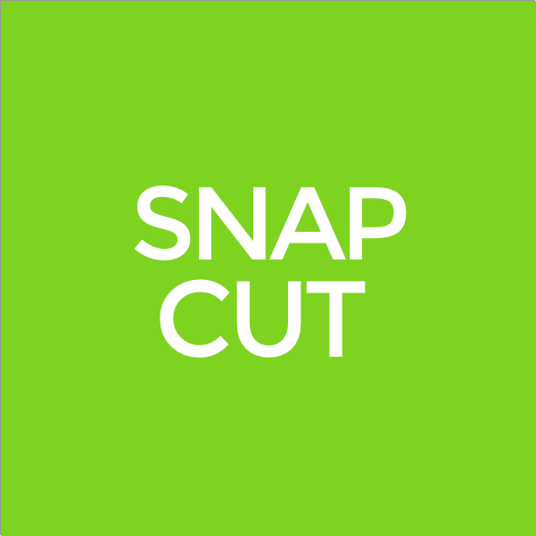 Snapcut — screenshot 1 showing tool features and UI