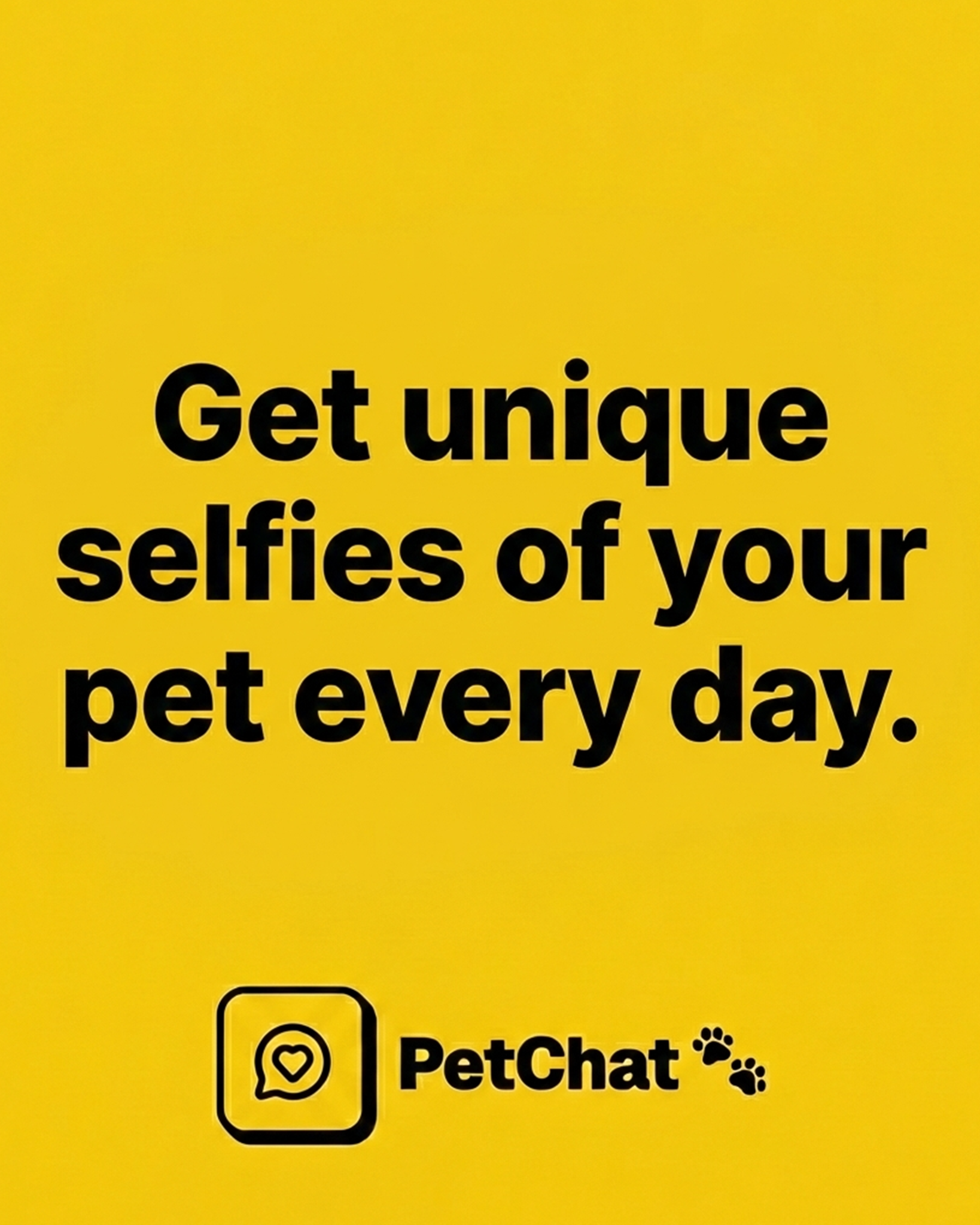 PetChat - Screenshot 4 showing product features and functionality