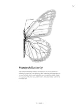 Butterfly Story gallery image