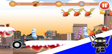 Ninja Attack gallery image