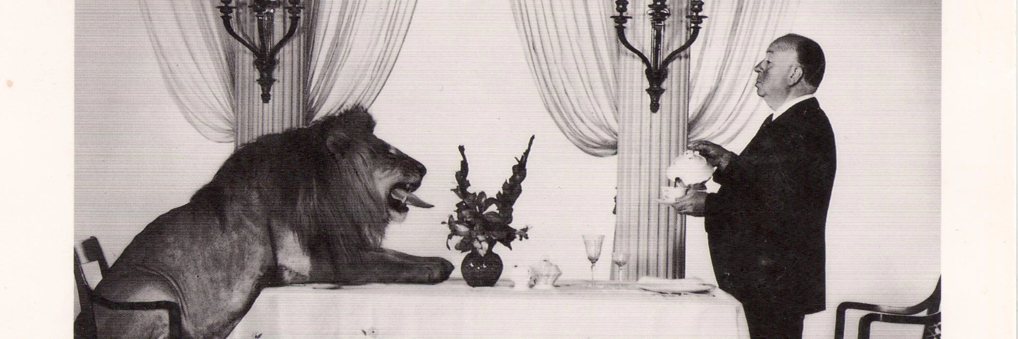 Jonathan Woolf cover