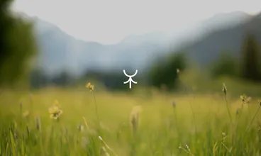 sonopsia gallery image