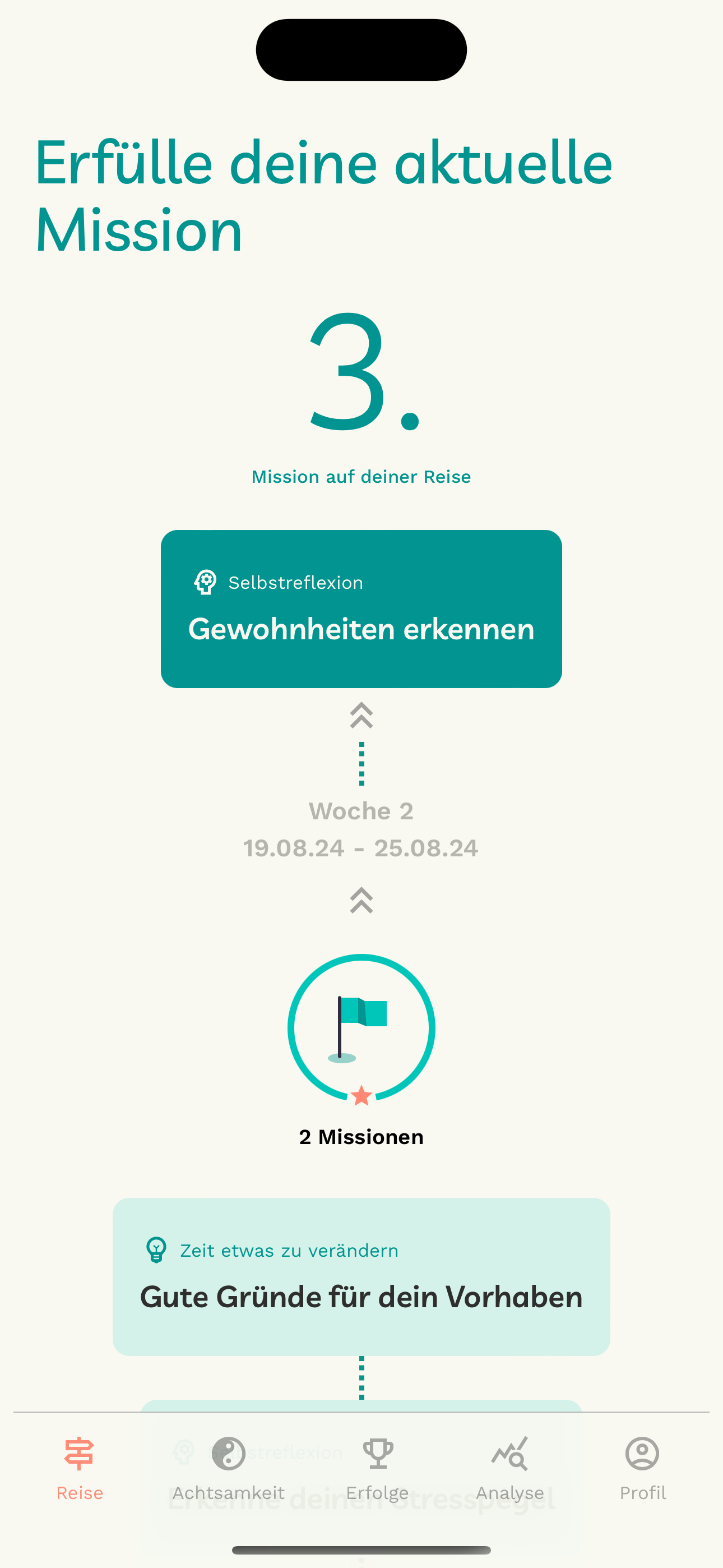 Entgiftung Medien 3