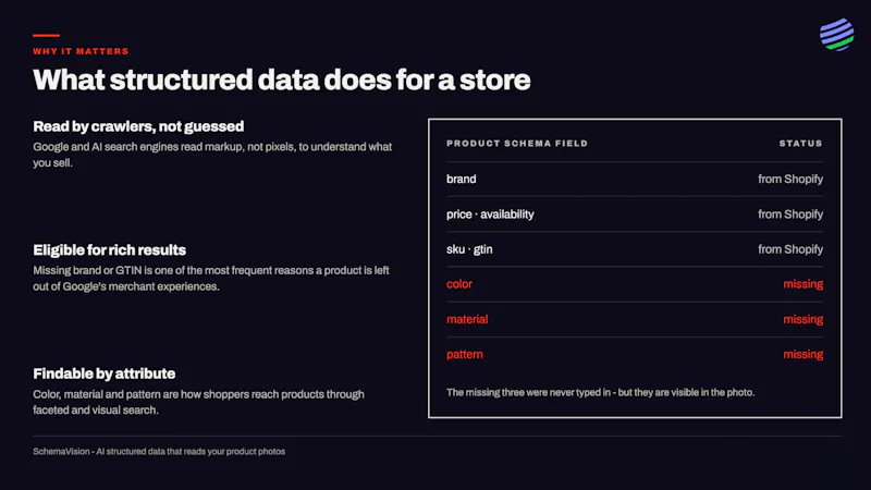SchemaVision: AI search data in Shopify screenshot 2