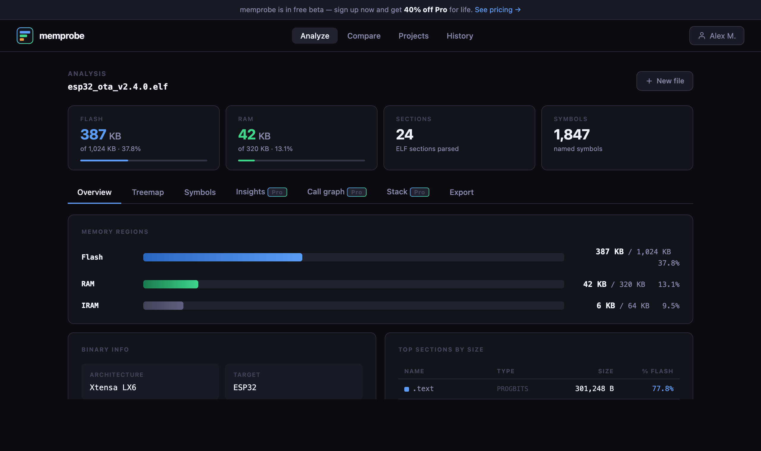 memprobe.dev gallery image