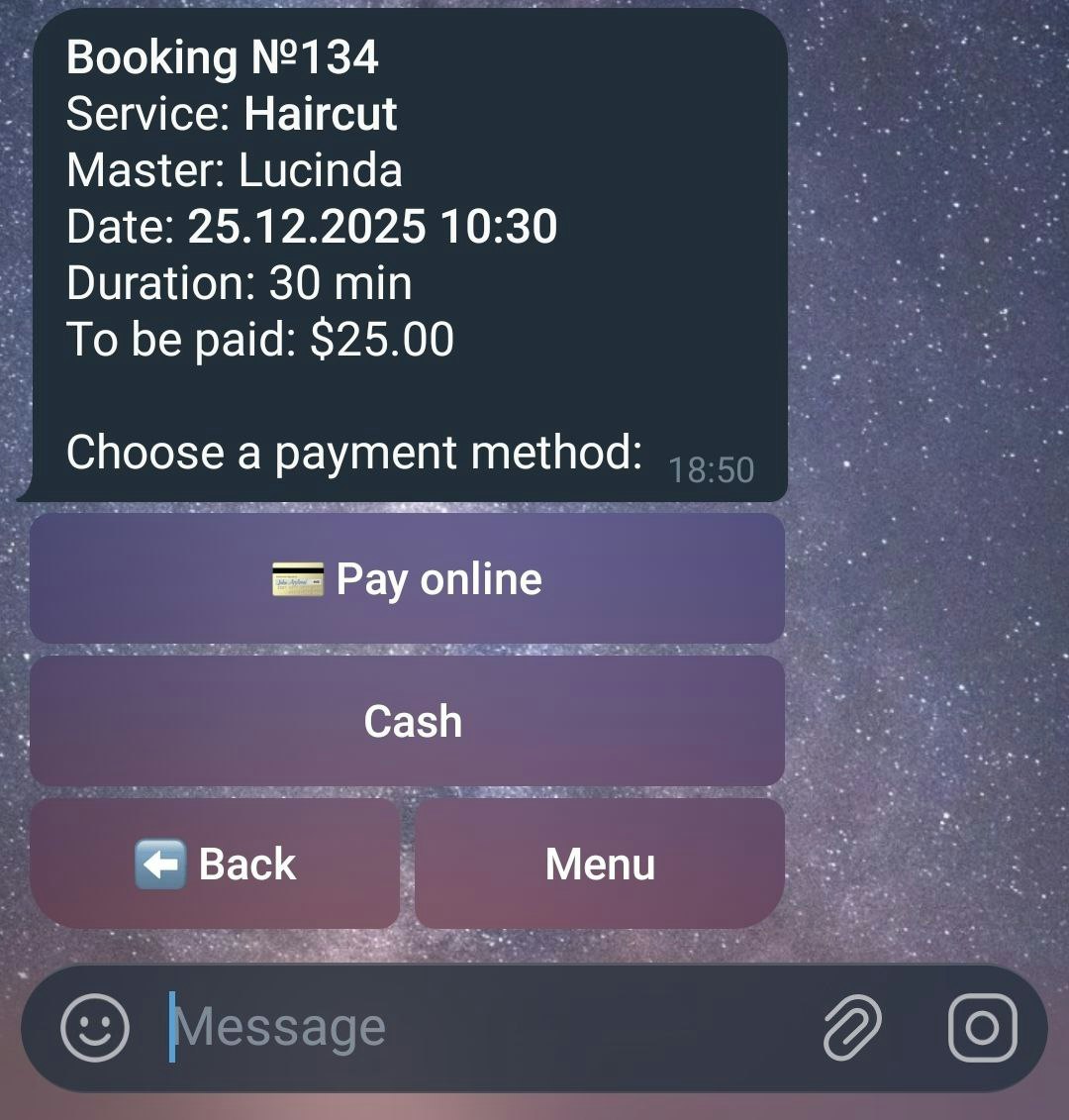 SalonBot — Telegram Booking System gallery image