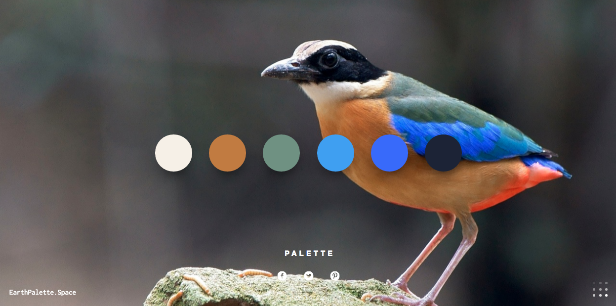 earthPalette.Space gallery image