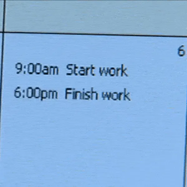 SWP - Systematic Work Planner