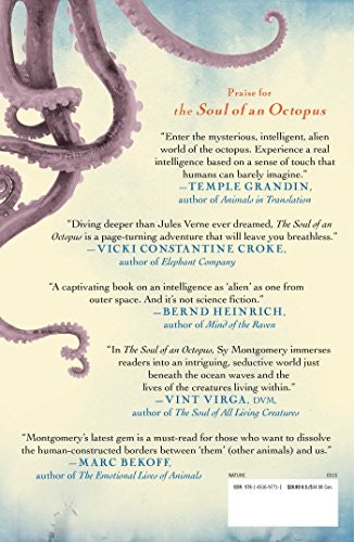 The Soul of an Octopus gallery image
