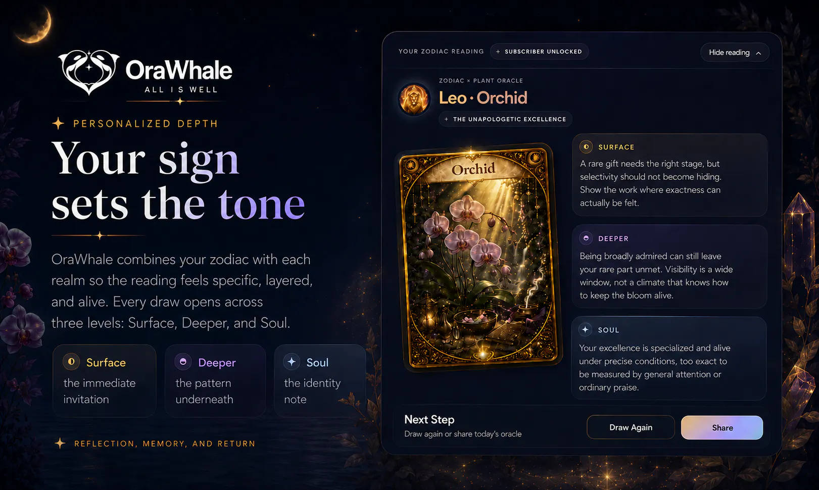 OraWhale screenshot 4