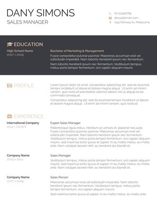 30+ Free Resume Templates gallery image