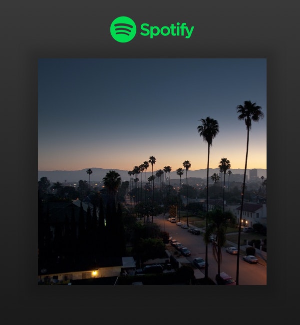 Spotiplus 2.0 gallery image